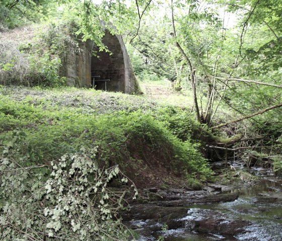 piscine pour les pieds Weimersborn, © Deutsch Luxemburgische Tourist Info