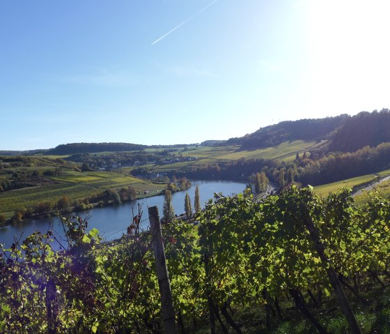 Piste cyclable de la Moselle, © Nicole Zimmer