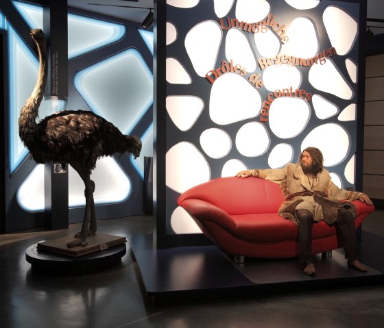 naturmuseum-3-copyright-mnhn, &copy; MNHN