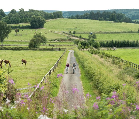 Zwei Radfahrer auf einem schmalen Weg durch grüne Wiesen mit Pferden, umgeben von sanften Hügeln und Bäumen., © vennbahn.eu