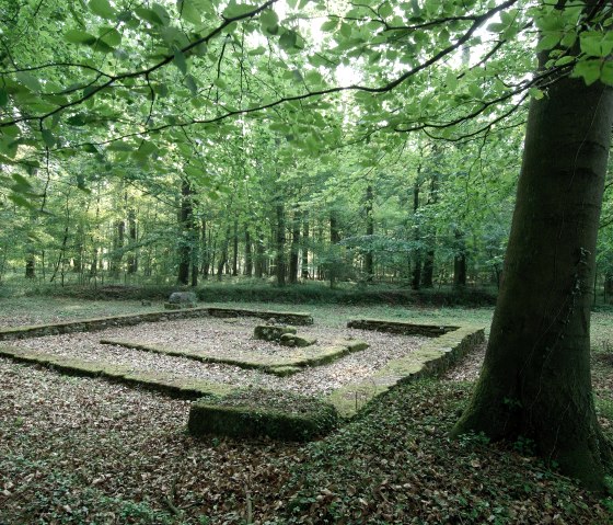 Gallo, &copy; Deutsch-Luxemburgische Tourist-Information