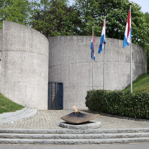 p1060917, &copy; Nicole Zimmer