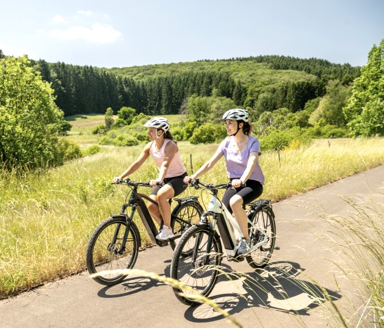 De Eifel-Ardennen fietsroute loopt door het idyllische Alfbachtal, &copy; Eifel Tourismus GmbH, Dominik Ketz