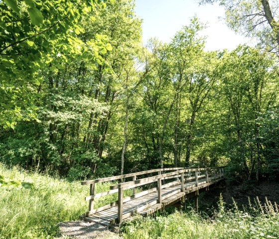 Idyllische brug op de Eifelgoldroute, © Eifel Tourismus GmbH, D. Ketz