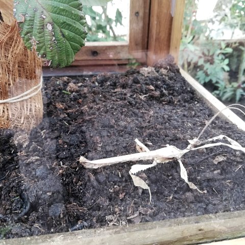 Paiperlek, &copy; Deutsch-Luxemburgische Tourist-Information