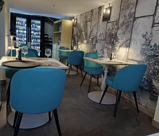 Massimo 1, &copy; Nicole Zimmer