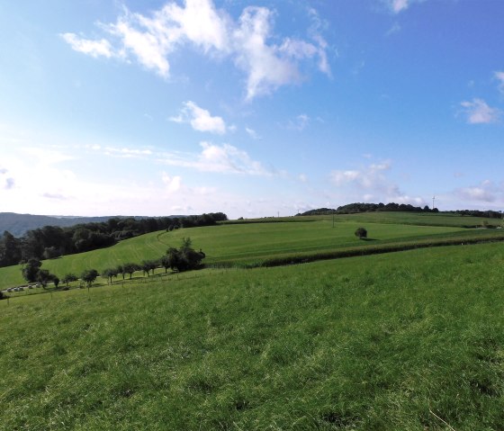 Auto-p&eacute;destre Rosport, &copy; Deutsch-Luxemburgische Tourist Information