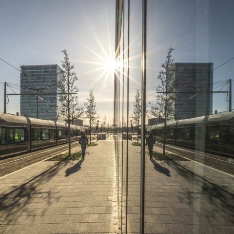 Lux2, © Nicole Zimmer